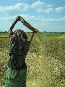 Livelihood Support in a Changing Climate: (Simon Golds, United Kingdom)  