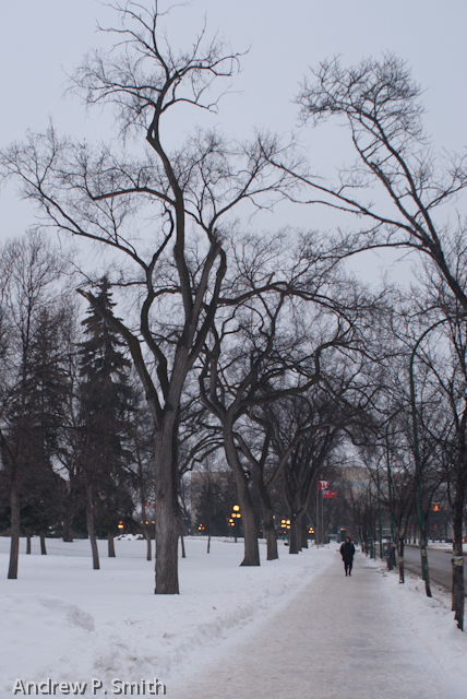 Walking the streets of downtown Winnipeg. 