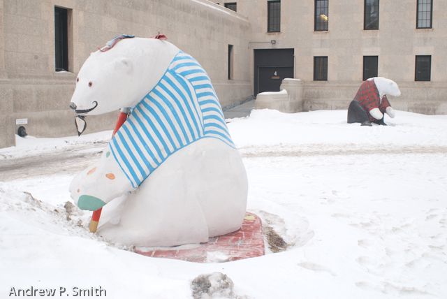 More Polar Bears on the streets of Winnipeg.