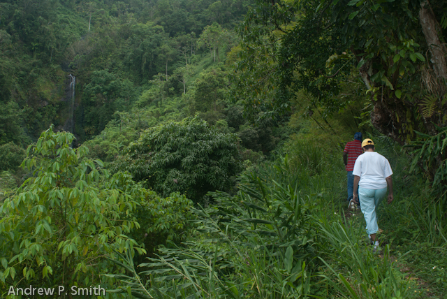 Near the start of the hike. One Drop Waterfall in Cascade is in the distane