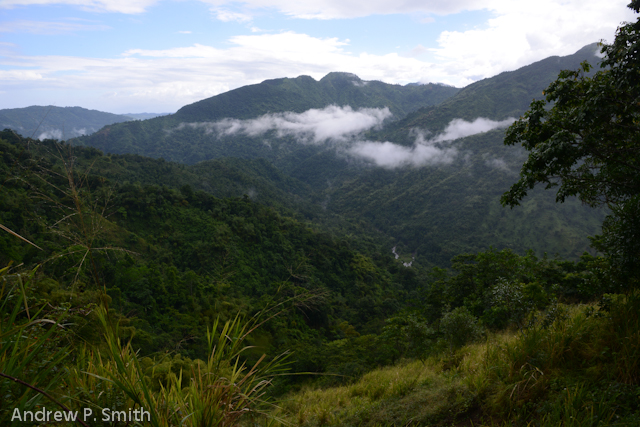 A view of the Grand Ridge of the Blue Mountains, seen en route to the Wilderness Retreat at Bangor Ridge.