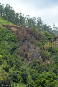 A burnt hillside in the Blue Mountains of Jamaica on July 18 2104. 