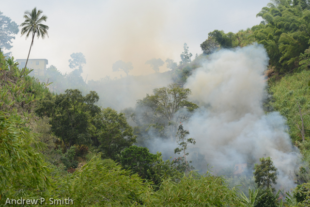 A fire set to clear land in Cascade, Portand in the Blue Mountains of Jamaica on July 18 